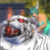 :iconxmisameowx: