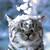 :iconxmiss-noirx: