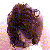 :iconxmisusednoveltyx: