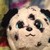 :iconxmonsterbutterflyx: