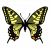 :iconxmurderinthedarkx: