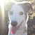 xMush-Kennelsx :iconxmush-kennelsx:
