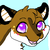 :iconxneonsplash: