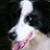 :iconxnookix: