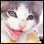 :iconxnuruhuine: