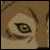 :iconxo-lostface-ox: