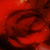 :iconxobsolescencex: