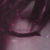 :iconxostab: