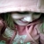 :iconxox-skc: