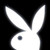 :iconxoxcourtbearxox: