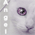 :iconxoxfallen6-9angelxox:
