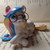 :iconxoxo-kristie:
