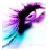 :iconxoxraynex: