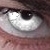 :iconxp8: