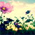 :iconxpaintedflowers: