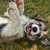 :iconxpanicattheps3x: