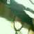 :iconxpezx: