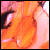 :iconxphantasmx: