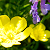 :iconxpicturez:
