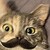 :iconxpinkxteardropsx: