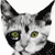 :iconxpos8: