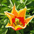 :iconxposure-media-uk:
