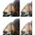 :iconxpromisesholdx: