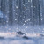 :iconxrainingsilence: