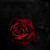:iconxrevolution09x: