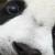 :iconxrig: