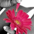 :iconxrmusic: