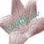 :iconxrosalie: