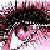 :iconxsalleex: