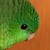 :iconxsavyna: