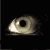 :iconxsc4rx: