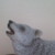 :iconxschleichanonymousx: