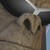 :iconxscruffydasasquatchx: