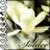 :iconxsecretwonderland: