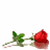 :iconxshadow-dancerx: