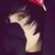:iconxshadowrain: