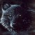 :iconxshadowsoulx: