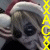 :iconxshizuchanx: