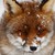 :iconxsilentfrostx:
