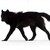 :iconxsilvertailx: