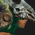 :iconxsilverwingsx: