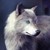 xSinisterShadowsx :iconxsinistershadowsx: