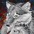 :iconxsiwolf: