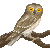 :iconxslight: