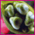 :iconxsmlarge: