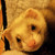 :iconxso-fascinatingx: